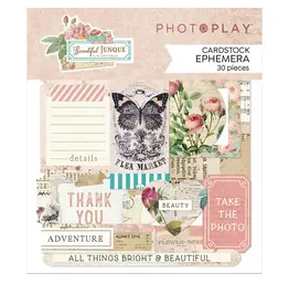 PHOTOPLAY PAPER PHOTOPLAY BEAUTIFUL JUNQUE CARDSTOCK EPHEMERA