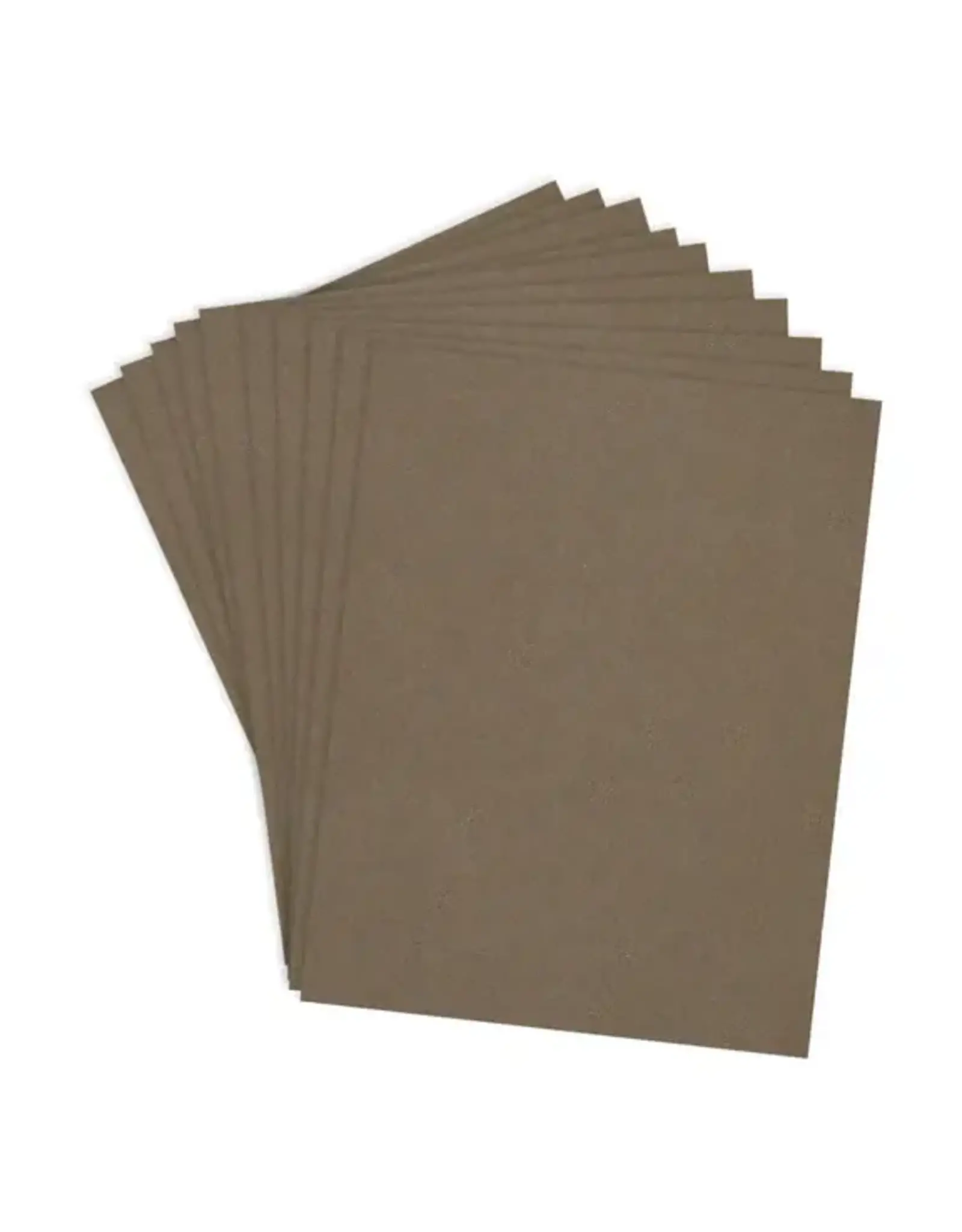 SPELLBINDERS SPELLBINDERS ACORN COLORWHEEL CARDSTOCK 8.5x11 10/PK
