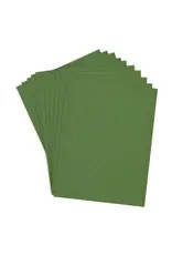 SPELLBINDERS SPELLBINDERS FERN COLORWHEEL CARDSTOCK 8.5x11 10/PK