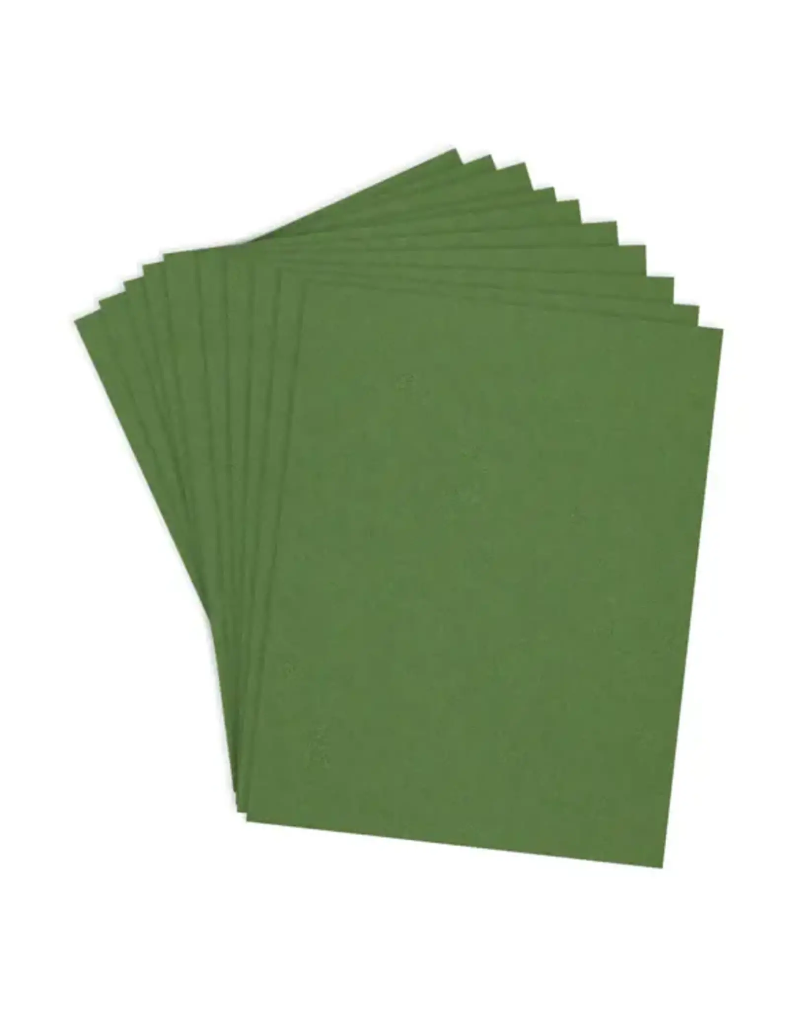 SPELLBINDERS SPELLBINDERS FERN COLORWHEEL CARDSTOCK 8.5x11 10/PK