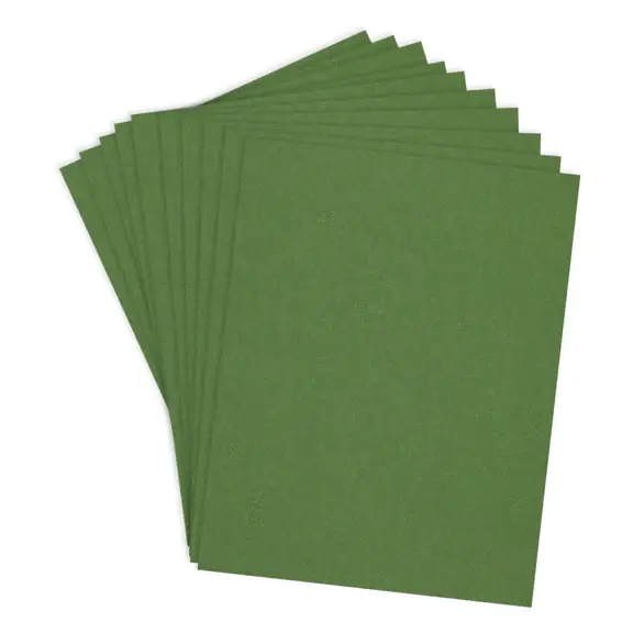 SPELLBINDERS SPELLBINDERS FERN COLORWHEEL CARDSTOCK 8.5x11 10/PK