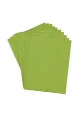 SPELLBINDERS SPELLBINDERS RAINFOREST COLORWHEEL CARDSTOCK 8.5x11 10/PK