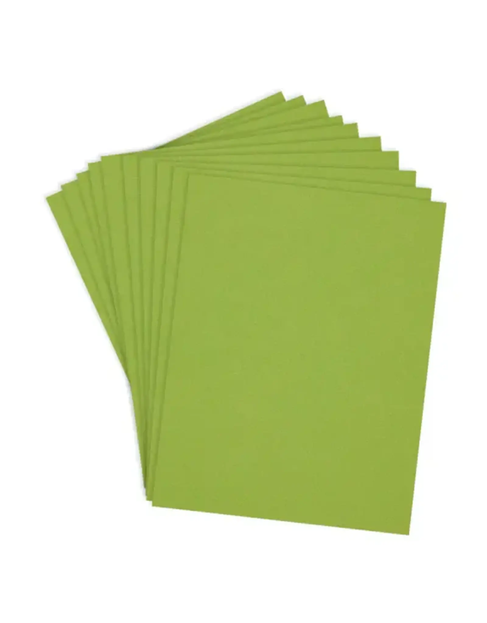 SPELLBINDERS SPELLBINDERS RAINFOREST COLORWHEEL CARDSTOCK 8.5x11 10/PK