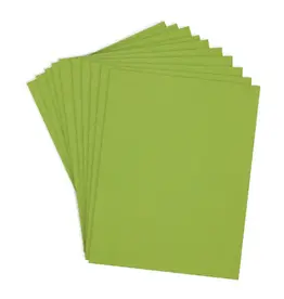 SPELLBINDERS SPELLBINDERS RAINFOREST COLORWHEEL CARDSTOCK 8.5x11 10/PK