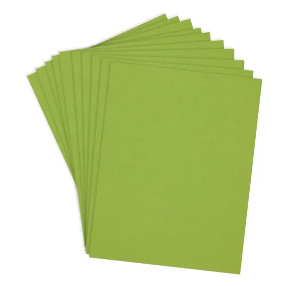 SPELLBINDERS SPELLBINDERS RAINFOREST COLORWHEEL CARDSTOCK 8.5x11 10/PK