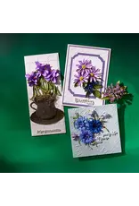 SPELLBINDERS SPELLBINDERS THROUGH THE MEADOW DIE BUNDLE