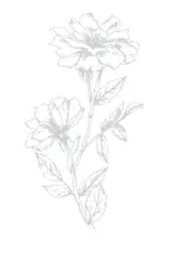 LDRS CREATIVE LDRS CREATIVE VICTORIAN PETALS IMPRESS-ION PRESS + FOIL PLATES