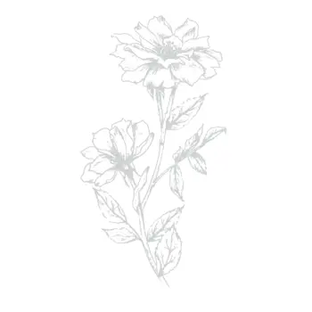 LDRS CREATIVE LDRS CREATIVE VICTORIAN PETALS IMPRESS-ION PRESS + FOIL PLATES
