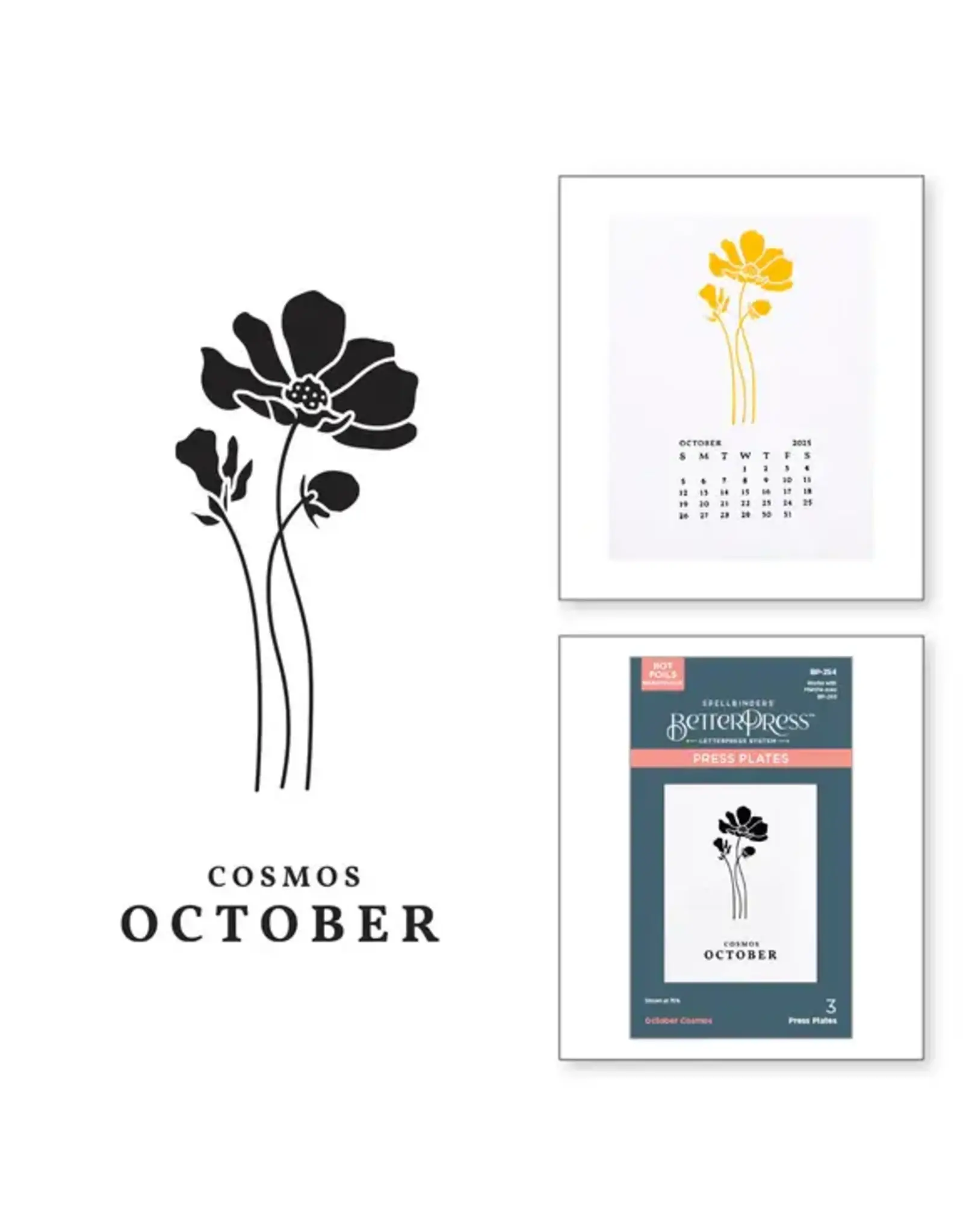 SPELLBINDERS SPELLBINDERS BETTERPRESS FLORALS THROUGH THE YEAR COLLECTION OCTOBER COSMOS PRESS PLATES