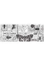 ADVANTUS TIM HOLTZ IDEA-OLOGY ENTOMOLOGY COLLAGE PAPER