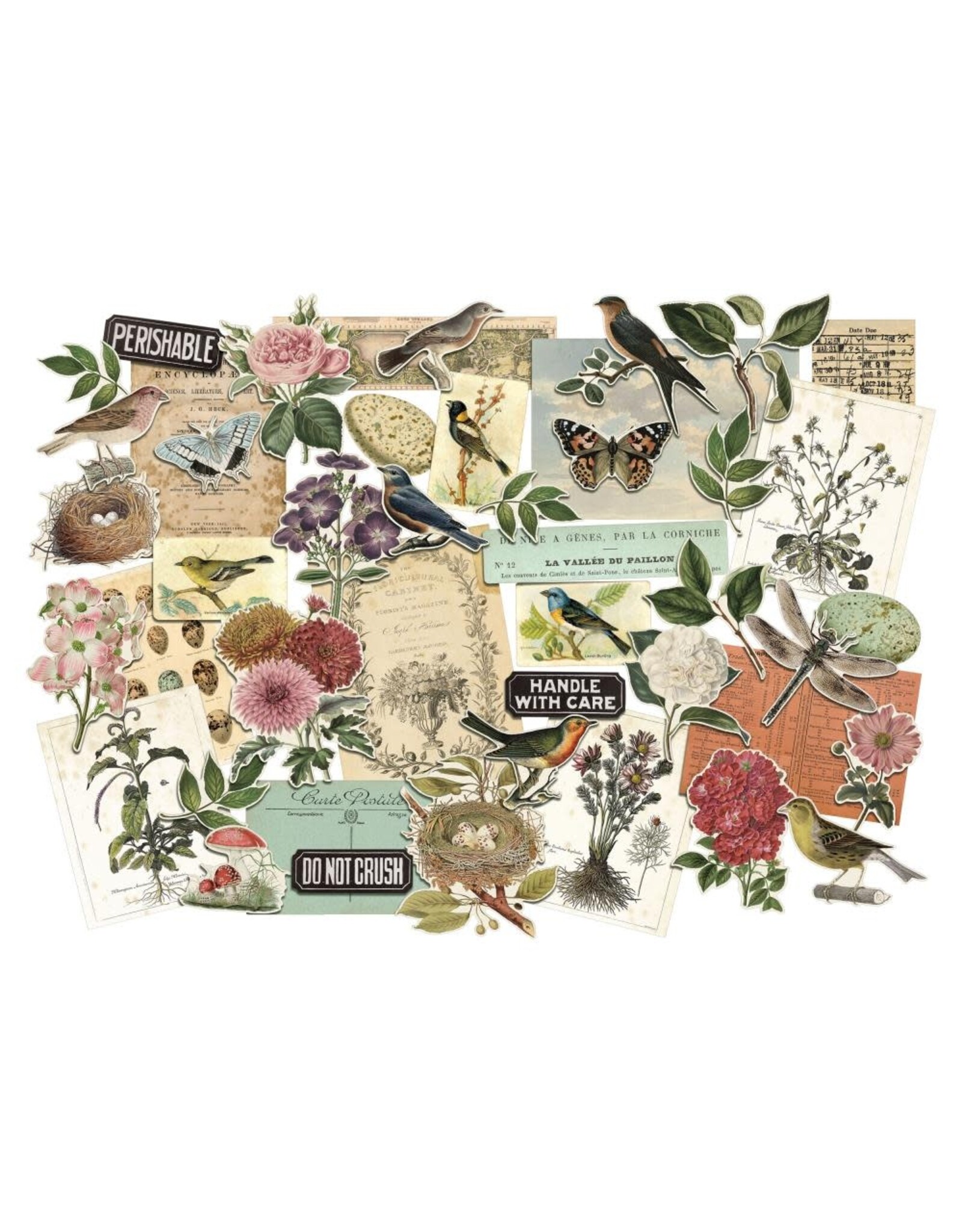 ADVANTUS TIM HOLTZ IDEA-OLOGY ORGANIC LAYERS DIE-CUTS 45/PK
