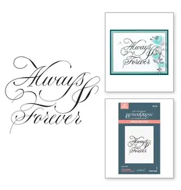 SPELLBINDERS SPELLBINDERS BETTERPRESS PAUL ANTONIO COPPERPLATE ON YOUR WEDDING DAY COLLECTION ALWAYS & FOREVER PRESS PLATE