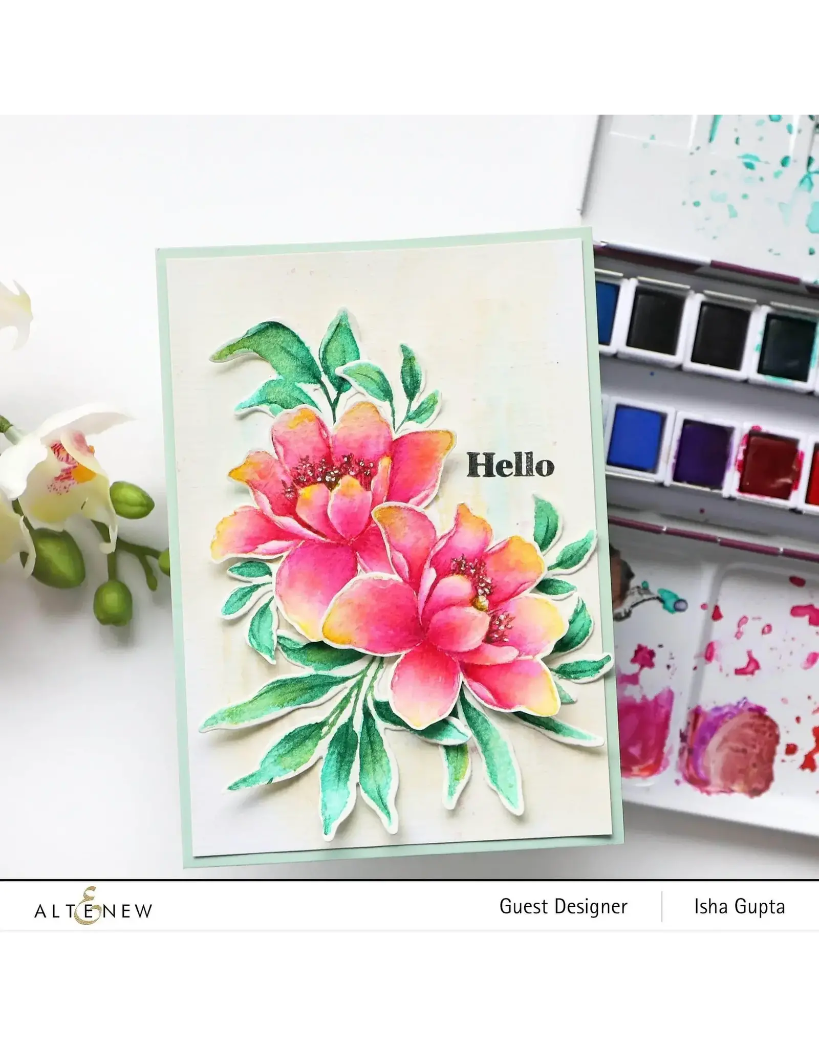 ALTENEW ALTENEW ARTISTS' WATERCOLOR SET 24PC