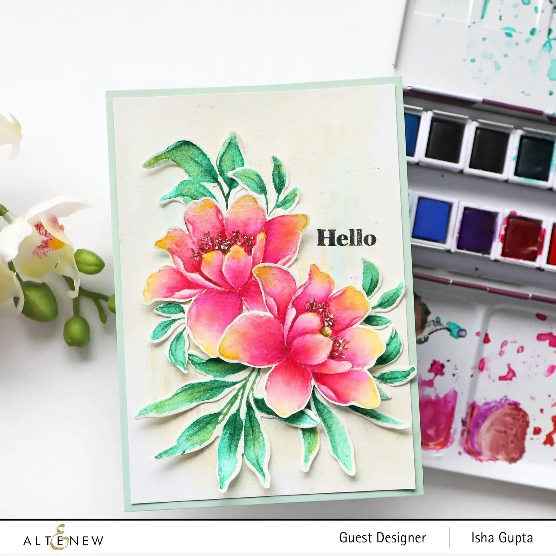 ALTENEW ALTENEW ARTISTS' WATERCOLOR SET 24PC
