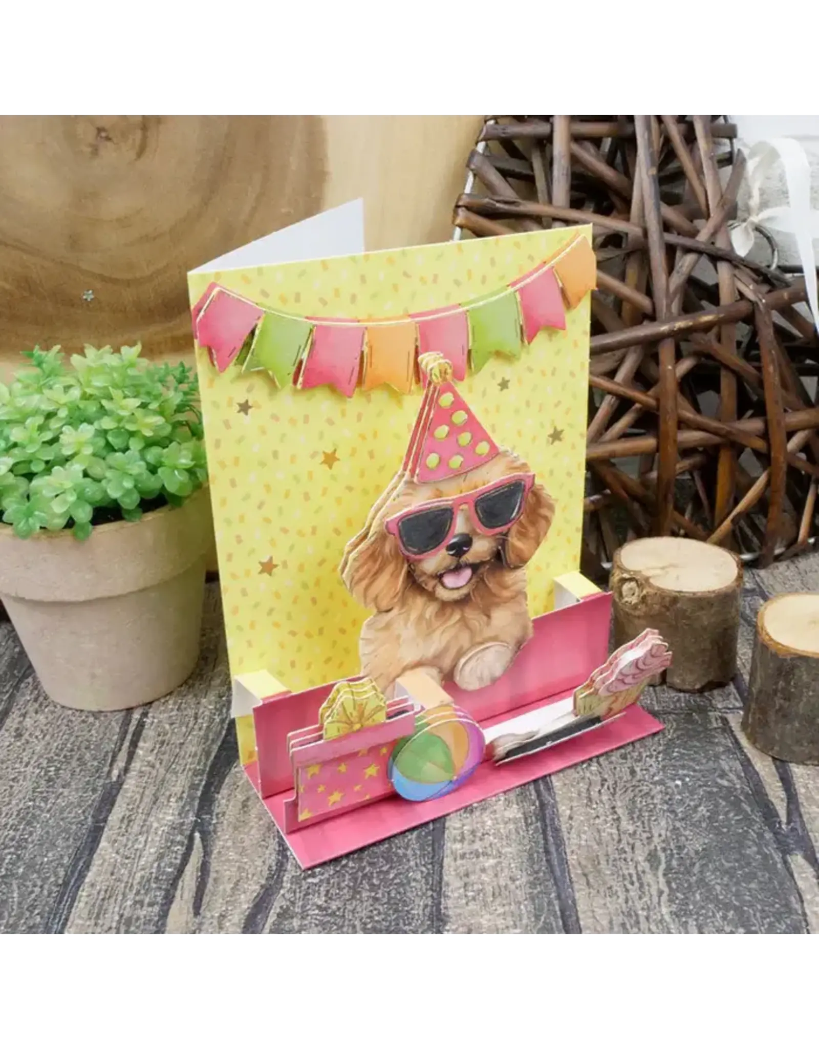 HUNKYDORY CRAFTS LTD. HUNKYDORY POP-UP STEPPER CARDS - PAWTRY TIME!