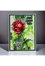 AALL & CREATE AALL & CREATE AUTOUR DE MWA #240 WILD ROSE 6X6 STENCIL