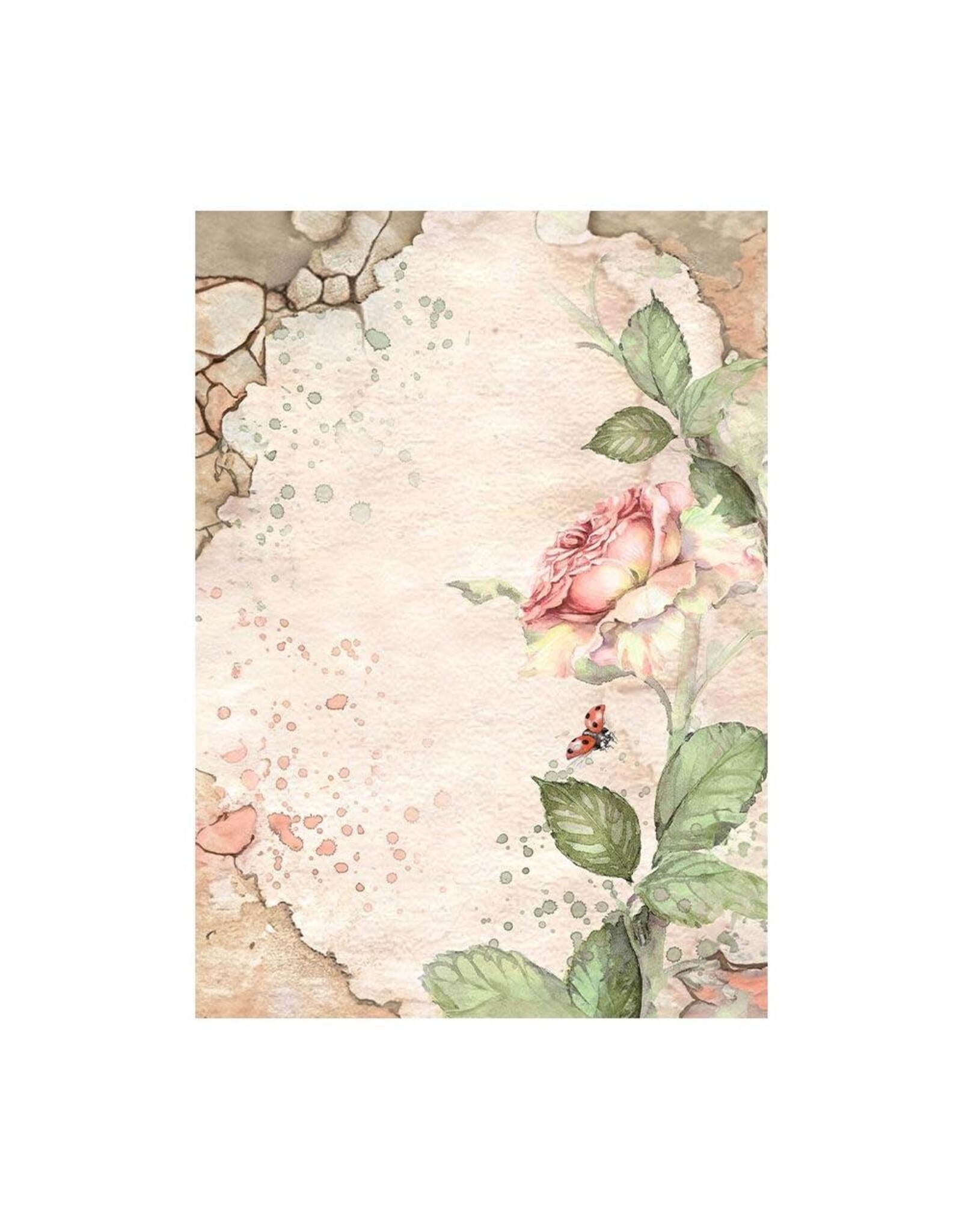 STAMPERIA STAMPERIA HOUSE OF ROSES ASSORTED A6 RICE PAPER DECOUPAGE BACKGROUNDS 10.5X14.8CM 8/PK