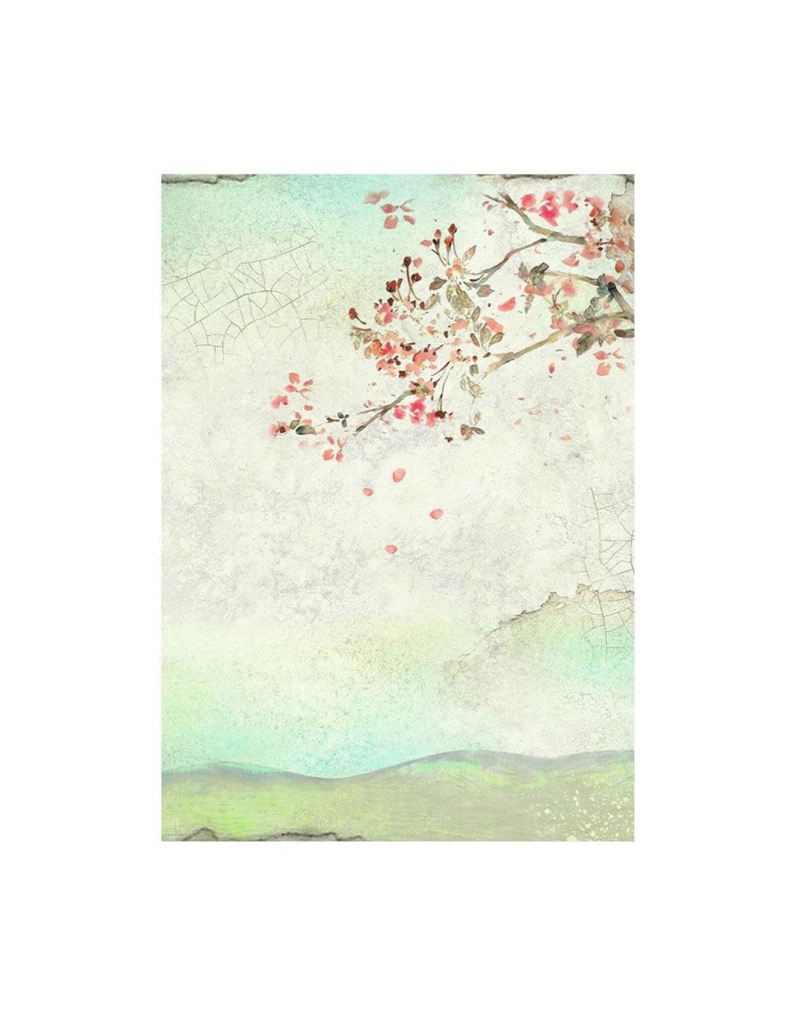 STAMPERIA STAMPERIA HOUSE OF ROSES ASSORTED A6 RICE PAPER DECOUPAGE BACKGROUNDS 10.5X14.8CM 8/PK