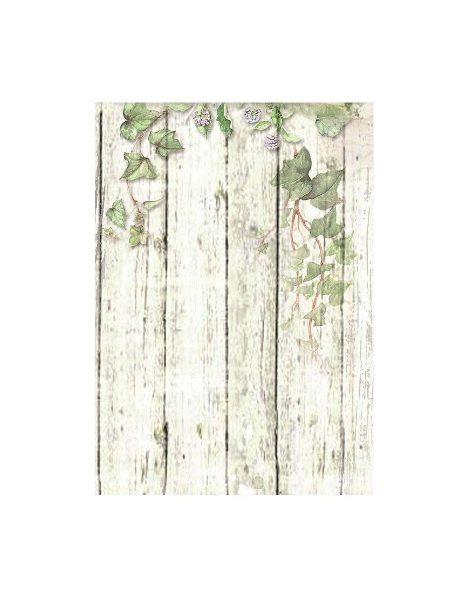 STAMPERIA STAMPERIA HOUSE OF ROSES ASSORTED A6 RICE PAPER DECOUPAGE BACKGROUNDS 10.5X14.8CM 8/PK