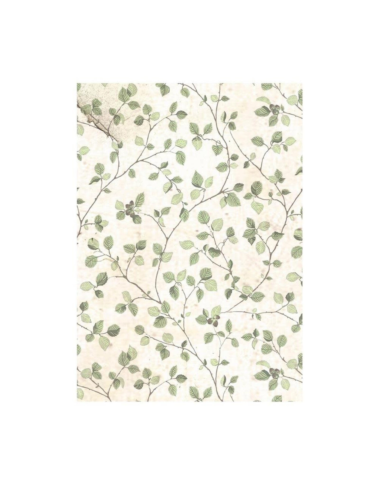 STAMPERIA STAMPERIA HOUSE OF ROSES ASSORTED A6 RICE PAPER DECOUPAGE BACKGROUNDS 10.5X14.8CM 8/PK