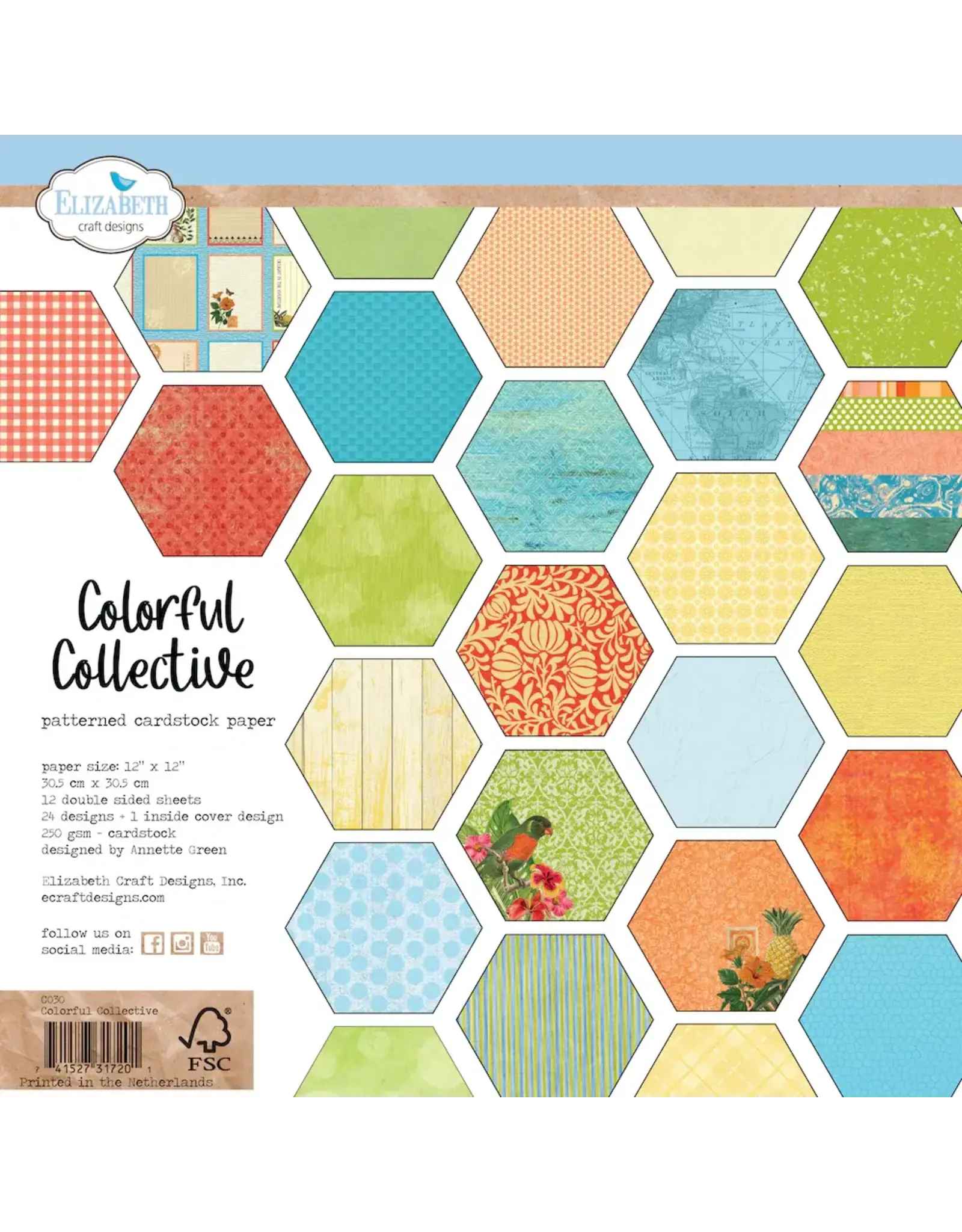 ELIZABETH CRAFT DESIGNS ELIZABETH CRAFT DESIGNS EVERYDAY ELEMENTS BY ANNETTE GREEN COLORFUL COLLECTIVE 12x12 PATTERENED PAPER PACK