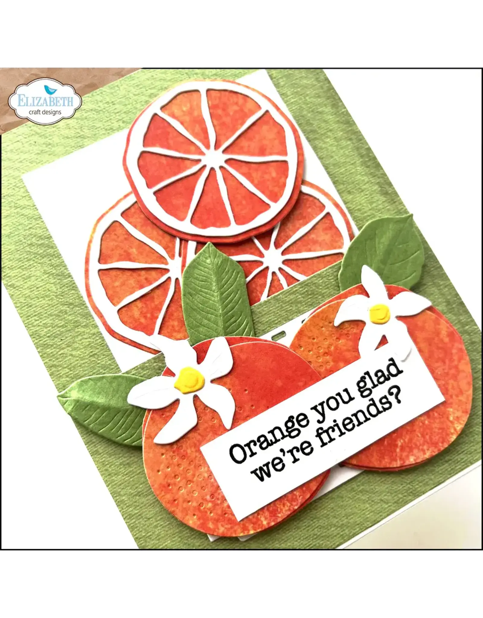 ELIZABETH CRAFT DESIGNS ELIZABETH CRAFT DESIGNS EVERYDAY ELEMENTS BY ANNETTE GREEN FRESH FRUIT DIE SET