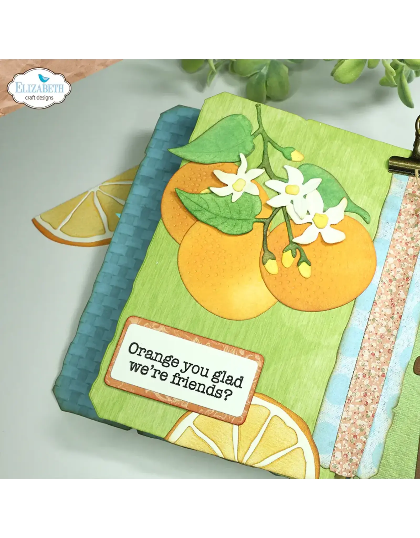 ELIZABETH CRAFT DESIGNS ELIZABETH CRAFT DESIGNS EVERYDAY ELEMENTS BY ANNETTE GREEN FRESH FRUIT DIE SET