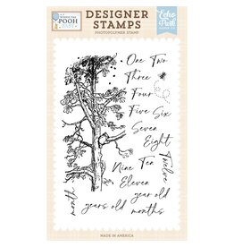 ECHO PARK PAPER ECHO PARK WINNIE THE POOH BABY FIRST YEAR MILESTONES CLEAR STAMP SET