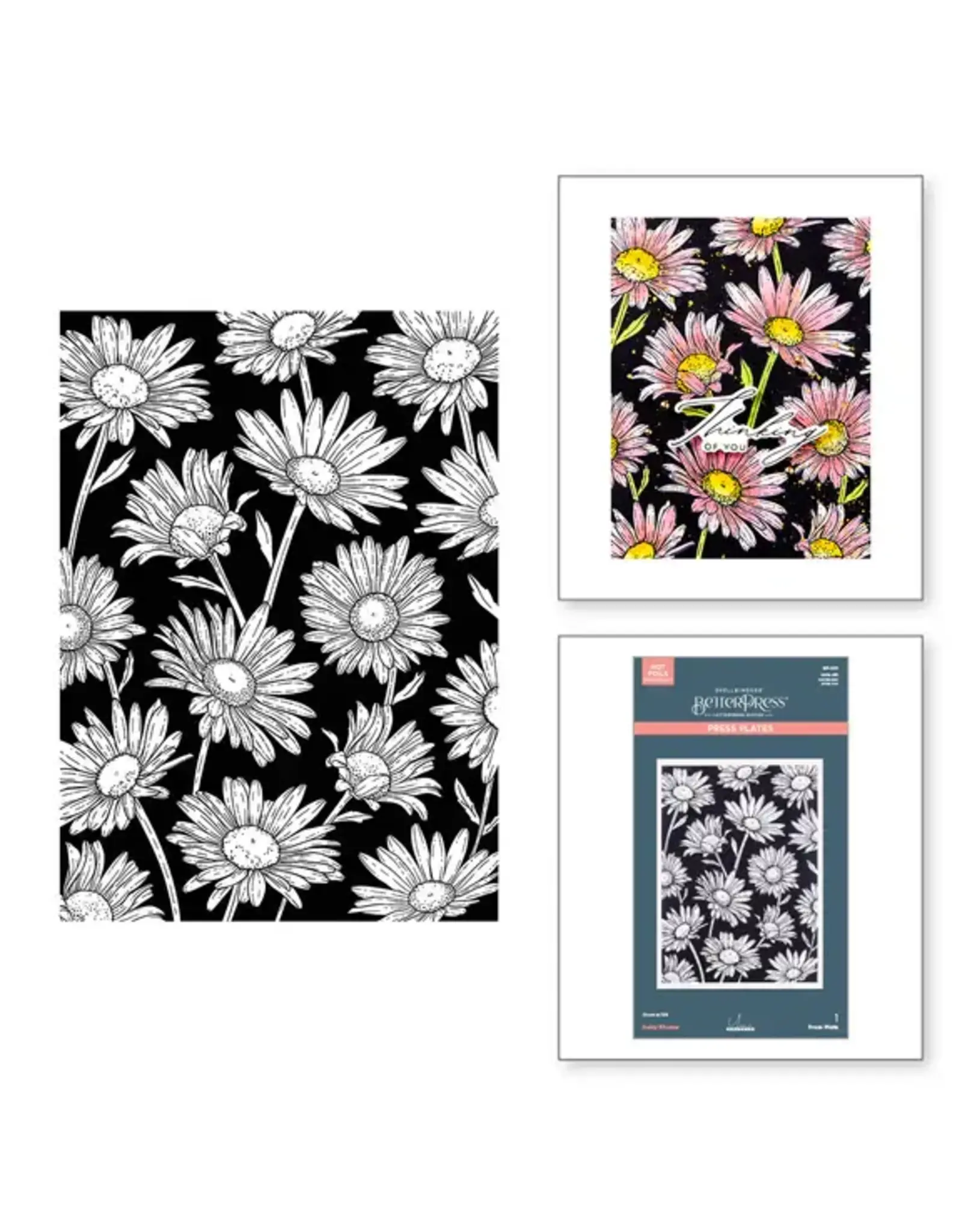 SPELLBINDERS SPELLBINDERS BETTERPRESS YANA SMAKULA YANA'S DAISIES COLLECTION DAISY SHOWER PRESS PLATE