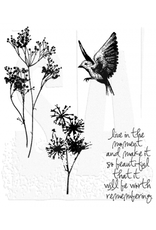 STAMPERS ANONYMOUS STAMPERS ANONYMOUS TIM HOLTZ NATURE'S MOMENTS CLING STAMP SET