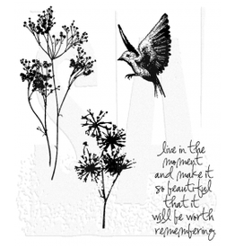 STAMPERS ANONYMOUS STAMPERS ANONYMOUS TIM HOLTZ NATURE'S MOMENTS CLING STAMP SET