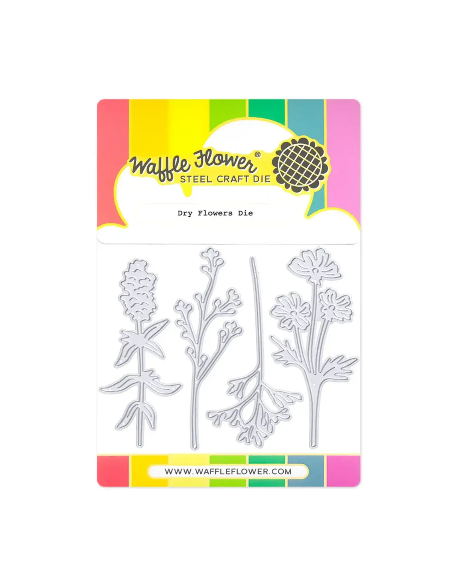 WAFFLE FLOWER WAFFLE FLOWER DRY FLOWERS DIE SET