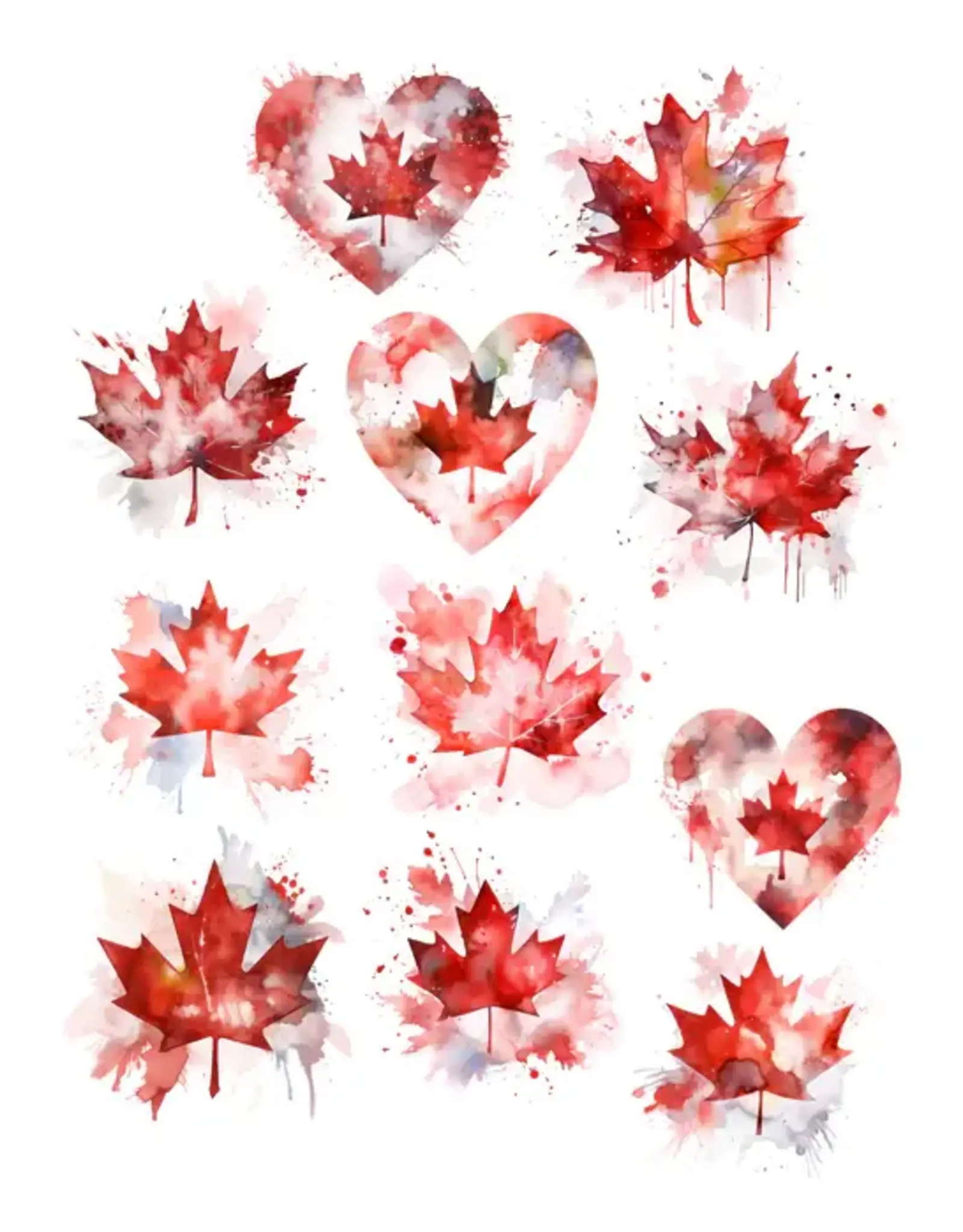 SIMPLY STATED SIMPLY STATED CANADIAN POPPIES FOLIAGE EPHEMERA