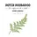 DUTCH DOOBADOO FERN DUTCH A6 STICKY STENCIL