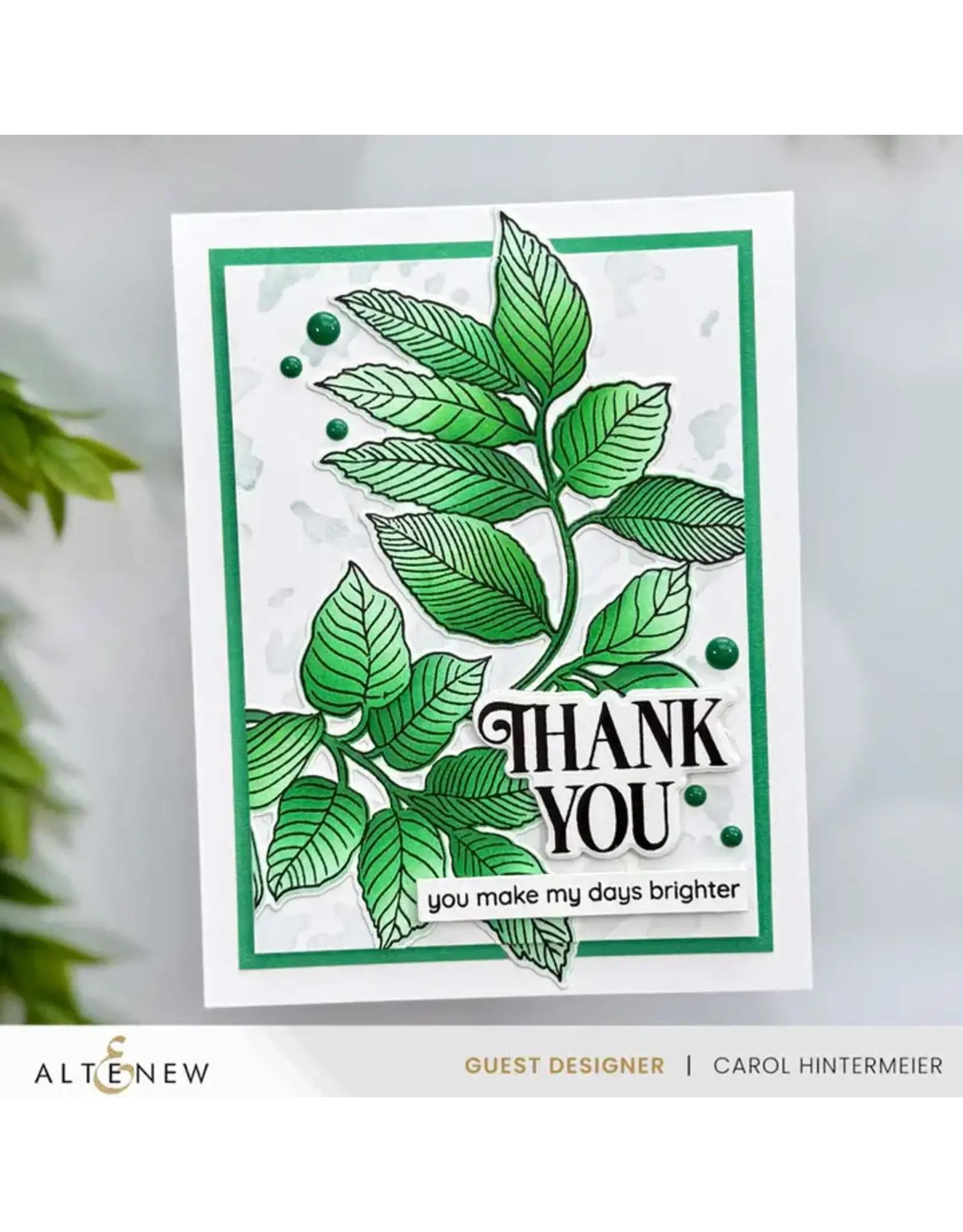 ALTENEW ALTENEW CRAFT YOUR LIFE PROJECT KIT: ARCHED FOLIAGE CLEAR STAMP, STENCIL SET, 3D EMBOSSING FOLDER AND DIE SET BUNDLE