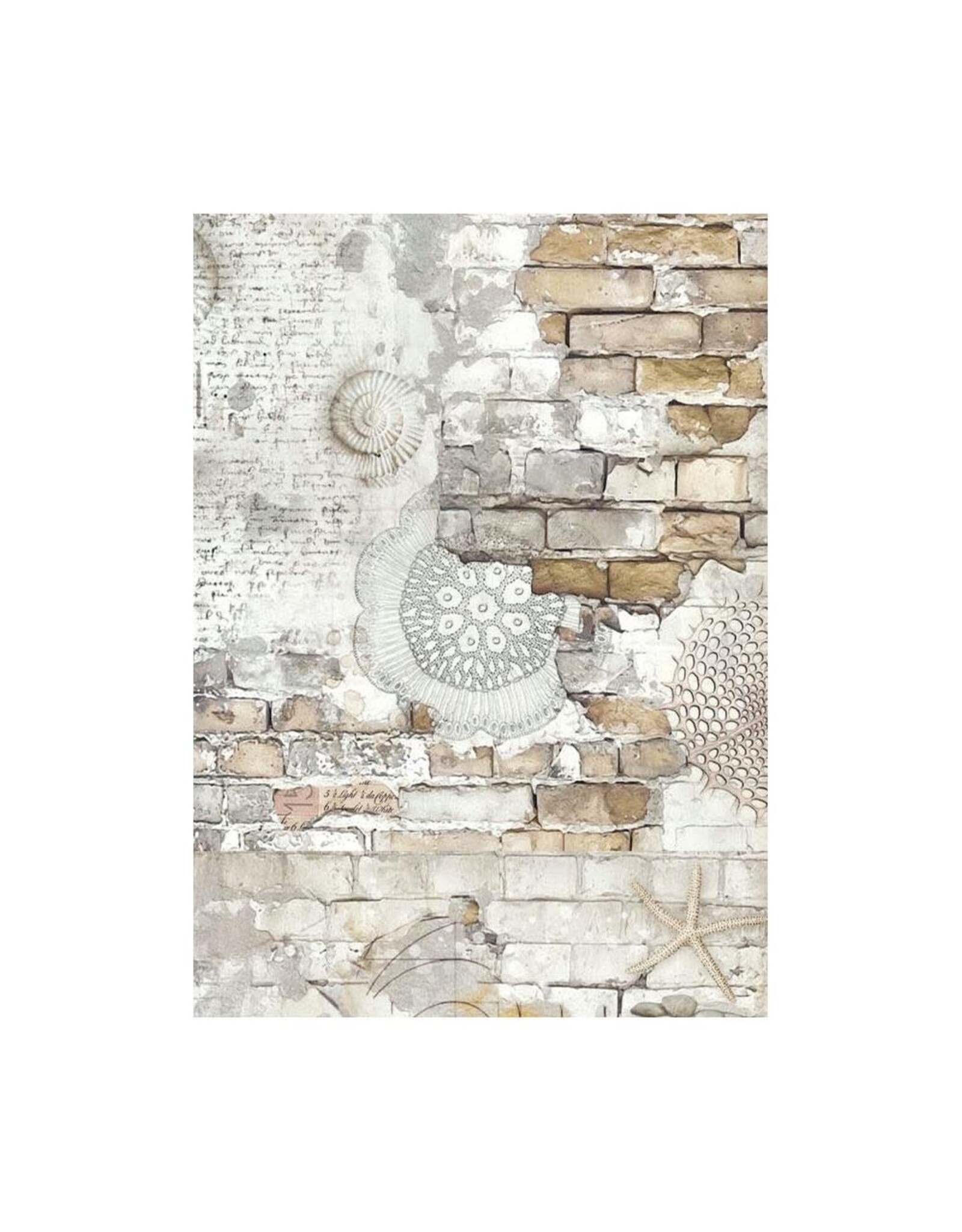 STAMPERIA STAMPERIA SILENT SEA ASSORTED A6 RICE PAPER DECOUPAGE BACKGROUNDS 10.5X14.8CM 8/PK