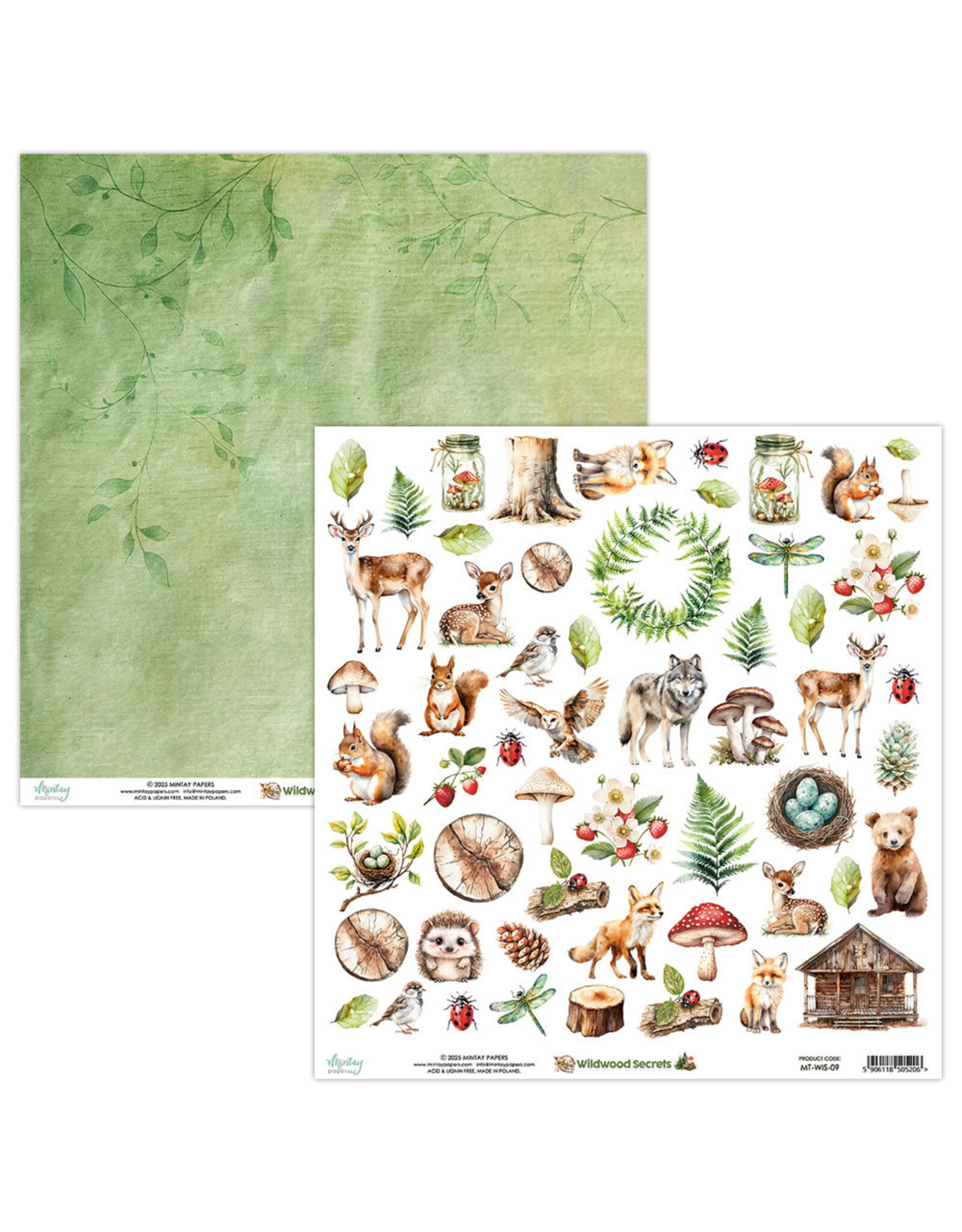 MINTAY MINTAY WILDWOOD SECRETS #09 ELEMENTS CARDSTOCK 12x12