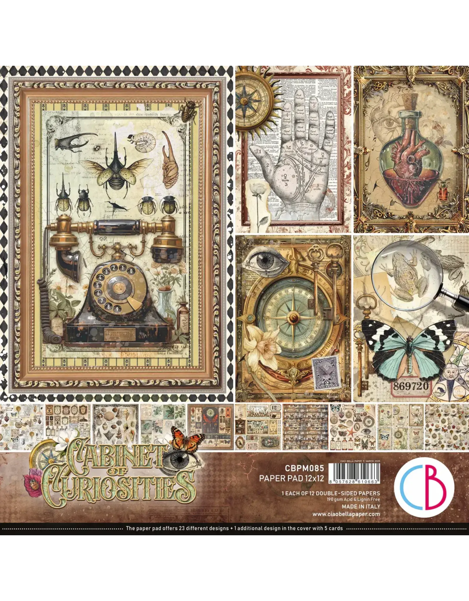 CIAO BELLA CIAO BELLA CABINET OF CURIOSITIES 12x12 PAPER PAD 12 SHEETS