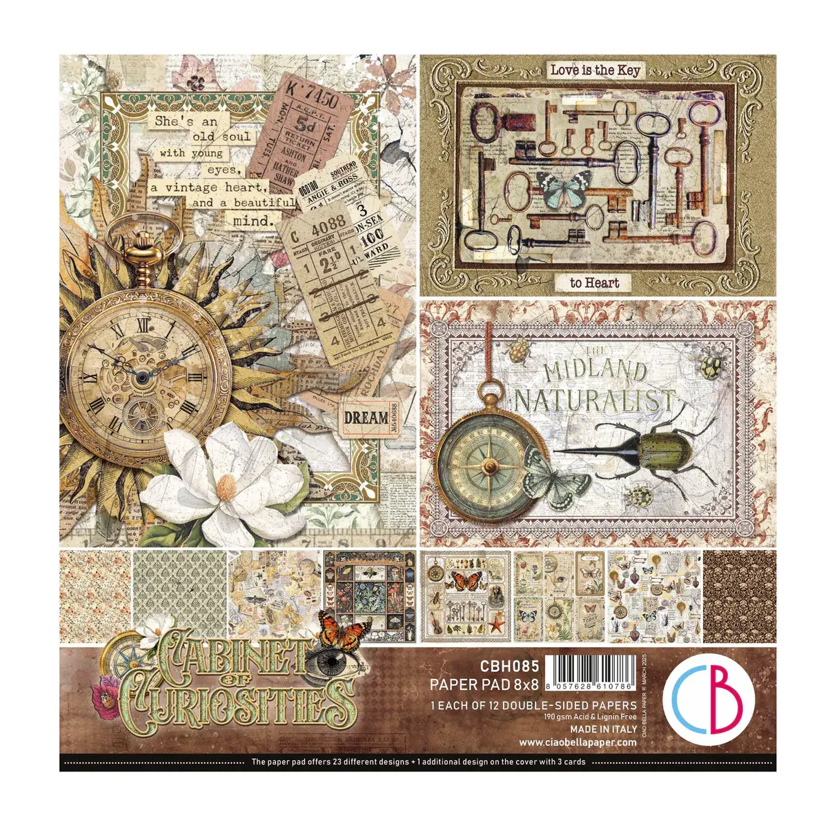 CIAO BELLA CIAO BELLA CABINET OF CURIOSITIES 8x8 PAPER PAD 12 SHEETS