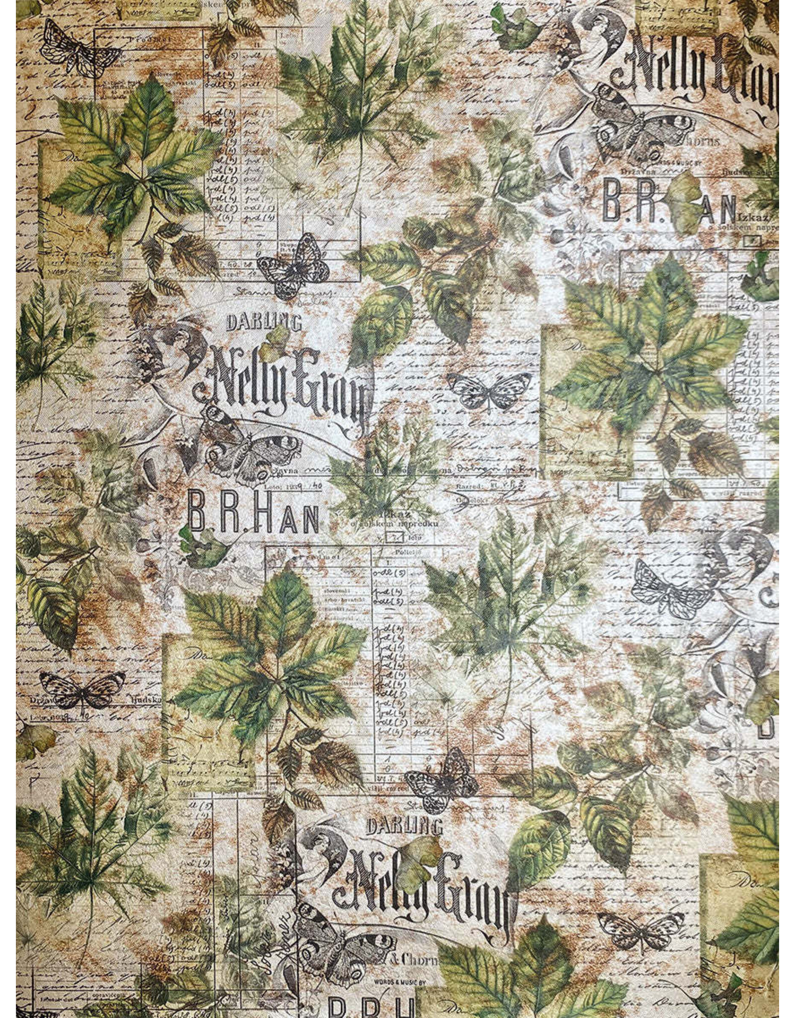 CIAO BELLA CIAO BELLA CABINET OF CURIOSITIES A4 DELUXE PEARL-COPPER PAPER 5 SHEETS