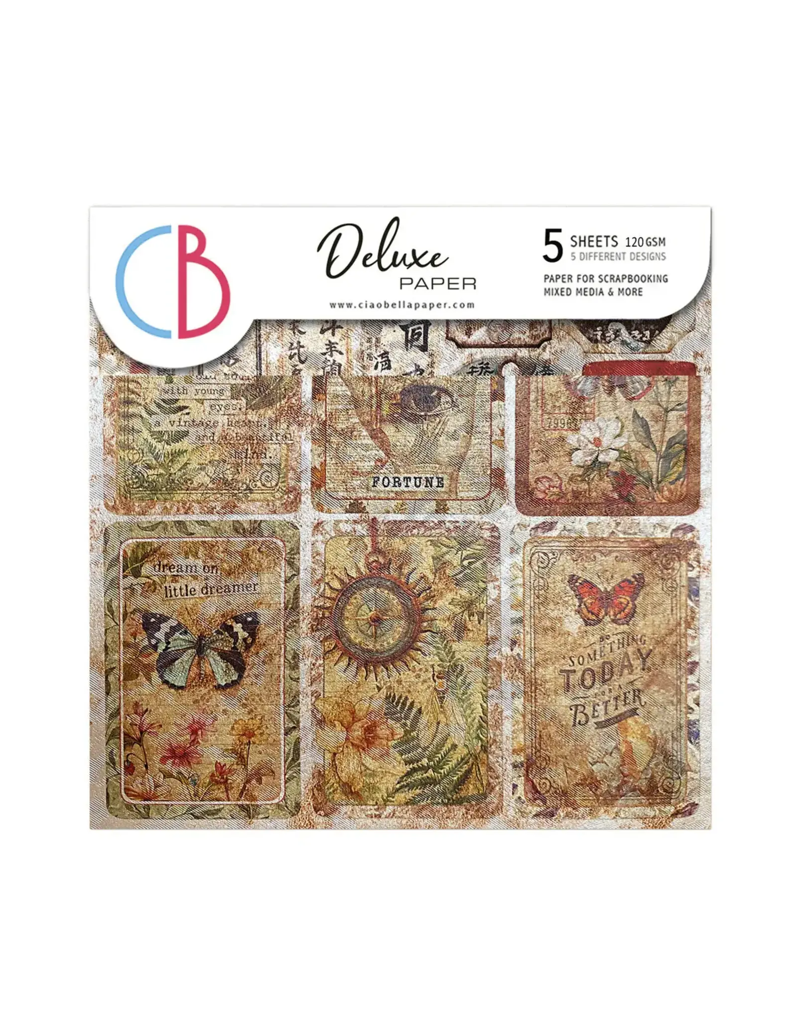 CIAO BELLA CIAO BELLA CABINET OF CURIOSITIES DELUXE 6x6 PEARL-COPPER PAPER 5 SHEETS