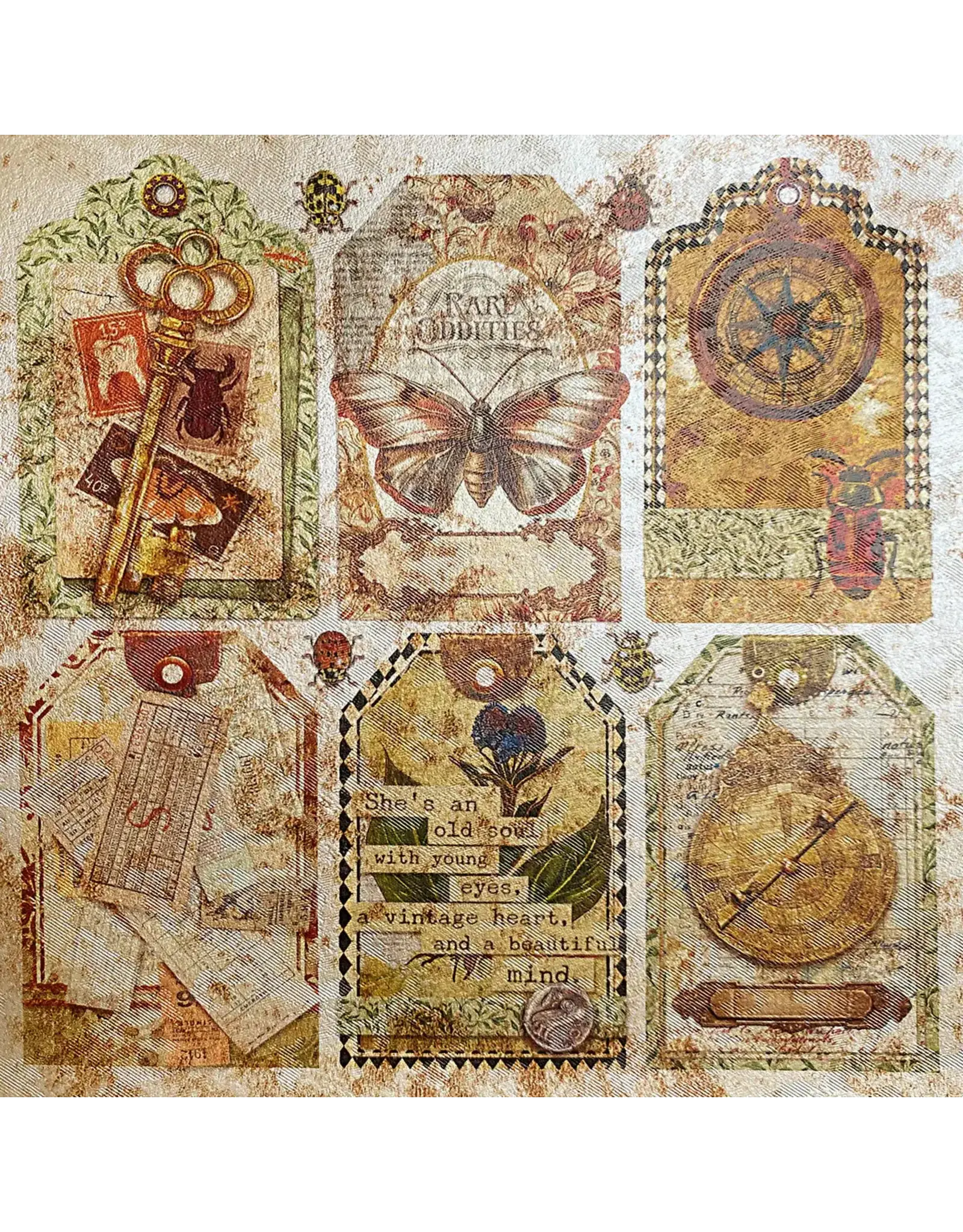 CIAO BELLA CIAO BELLA CABINET OF CURIOSITIES DELUXE 6x6 PEARL-COPPER PAPER 5 SHEETS