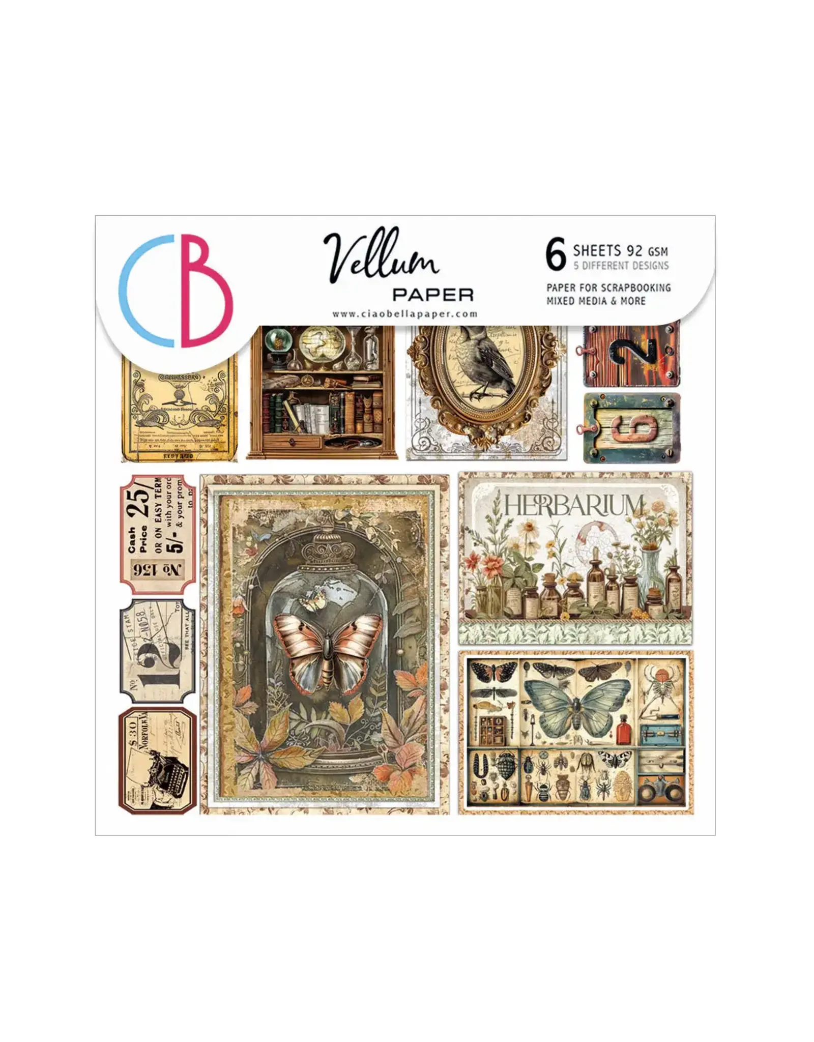 CIAO BELLA CIAO BELLA CABINET OF CURIOSITIES 6x6 FUSSY CUT VELLUM PAPER PAD 24 SHEETS