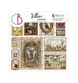 CIAO BELLA CIAO BELLA CABINET OF CURIOSITIES 6x6 FUSSY CUT VELLUM PAPER PAD 24 SHEETS