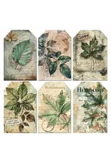 CIAO BELLA CIAO BELLA CABINET OF CURIOSITIES 6x6 FUSSY CUT VELLUM PAPER PAD 24 SHEETS