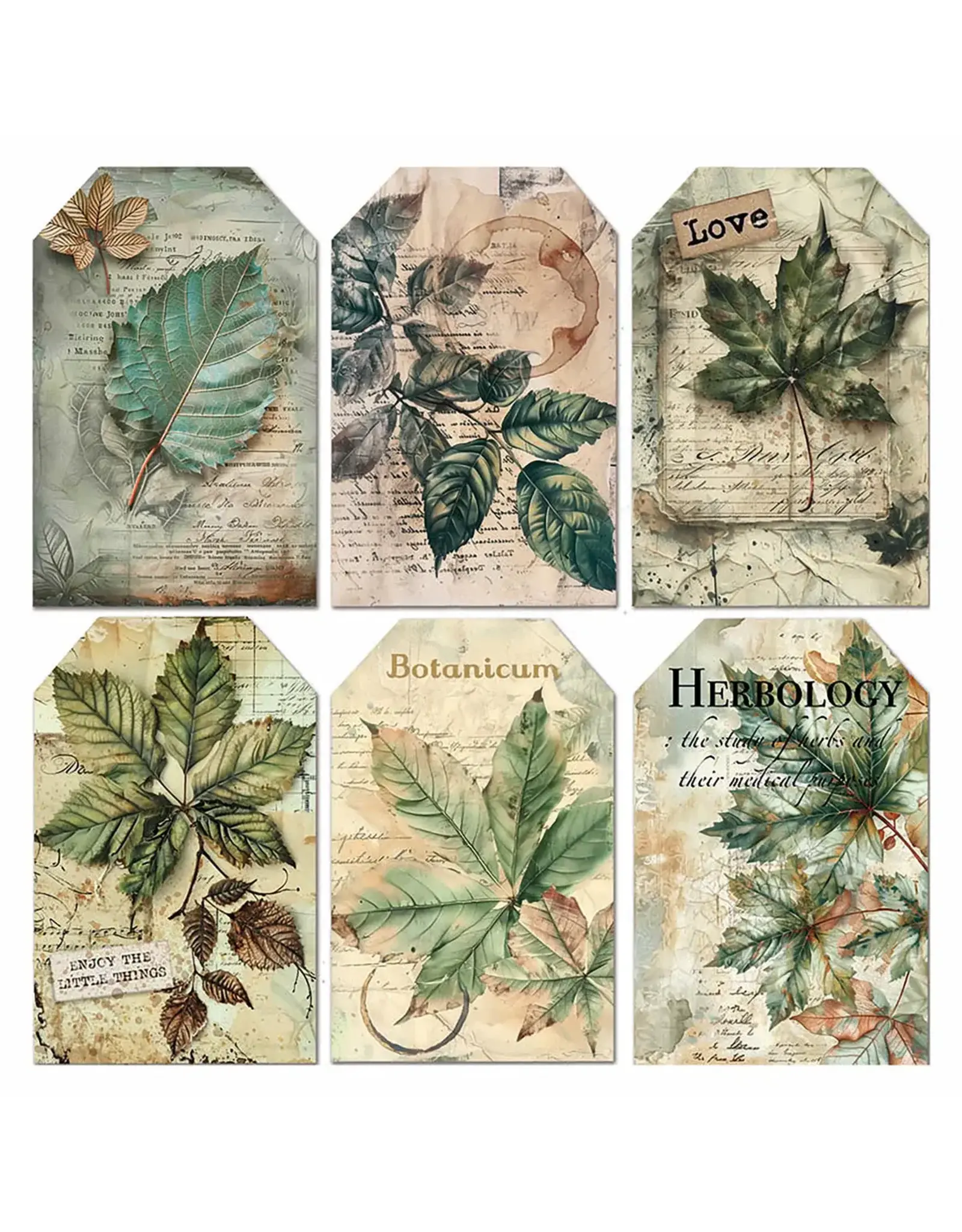 CIAO BELLA CIAO BELLA CABINET OF CURIOSITIES 6x6 FUSSY CUT VELLUM PAPER PAD 24 SHEETS