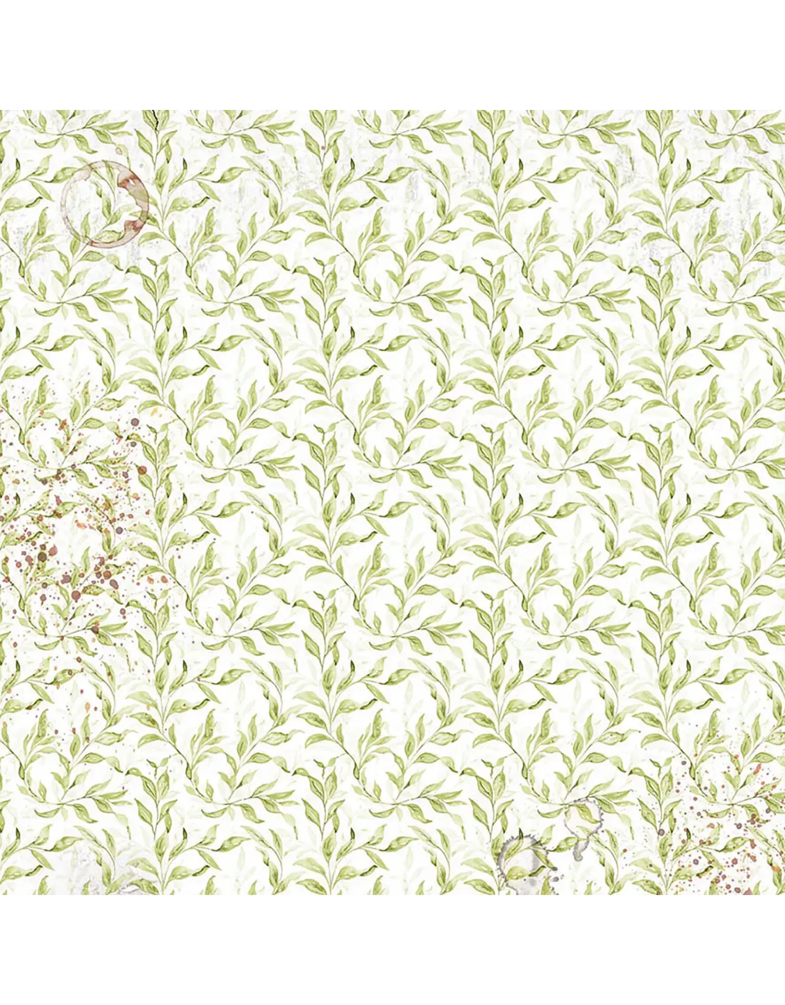 CIAO BELLA CIAO BELLA CABINET OF CURIOSITIES 6x6 FUSSY CUT VELLUM PAPER PAD 24 SHEETS