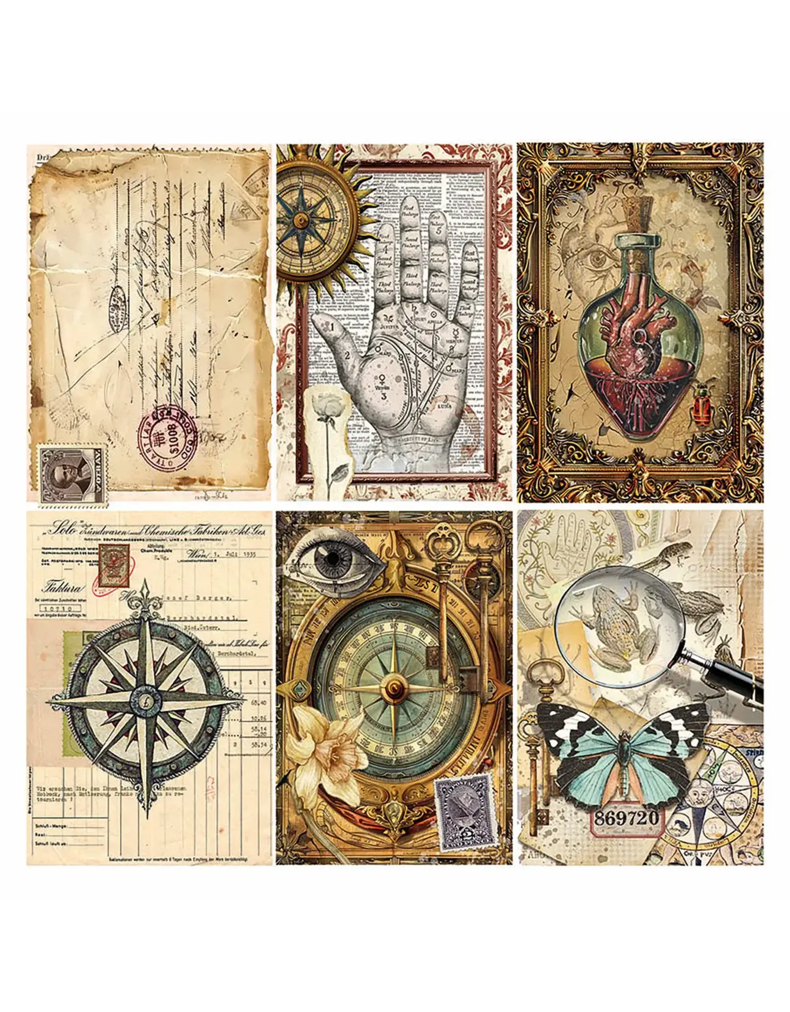 CIAO BELLA CIAO BELLA CABINET OF CURIOSITIES 6x6 FUSSY CUT VELLUM PAPER PAD 24 SHEETS