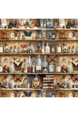 CIAO BELLA CIAO BELLA CABINET OF CURIOSITIES 6x6 FUSSY CUT VELLUM PAPER PAD 24 SHEETS