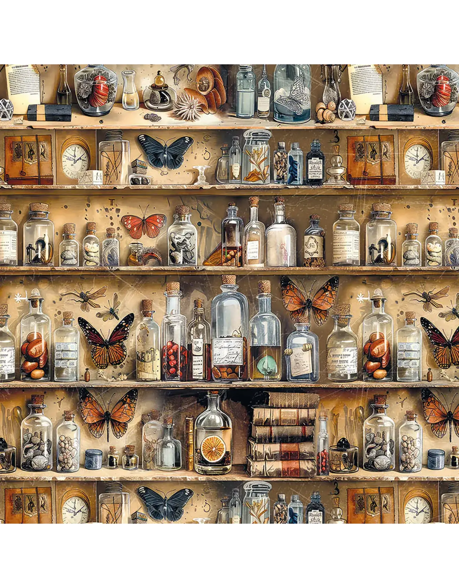 CIAO BELLA CIAO BELLA CABINET OF CURIOSITIES 6x6 FUSSY CUT VELLUM PAPER PAD 24 SHEETS